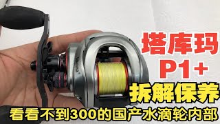 塔库玛P1加强版拆解保养，看看国产300元不到的水滴轮是怎么样的