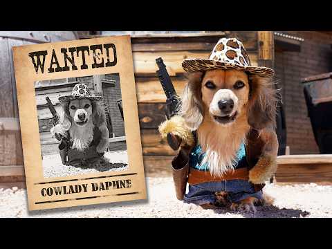 Ep 63 — The Dogs' Surprise Trip, Part 2 — Lost in the Desert