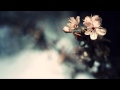 Aqualung - Strange and Beautiful (I'll Put a ...