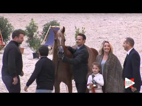 2nd PLACE-N.74 OM EL BELLAGIO - DEAUVILLE 2015 - Junior Colts Championship (Class 21)