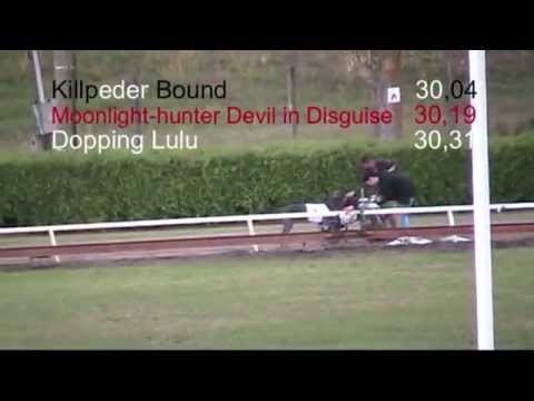 St. Leger Greyhound Open Race Final