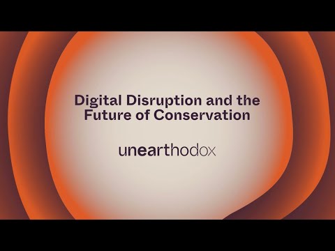Digital Disruption and the Future of Conservation NGOs