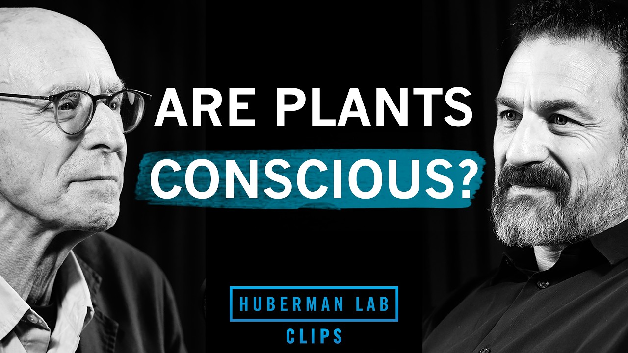 How Plants Think & What It Reveals About Consciousness | Michael Pollan & Dr. Andrew Huberman