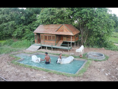 Amazing strange ! I build daily : build the most beautiful swimming pool for cows .