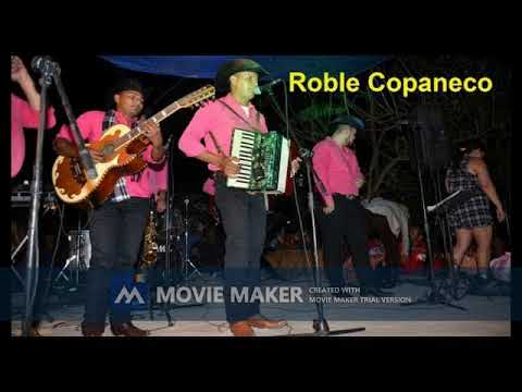 preso sin delito el roble copaneco