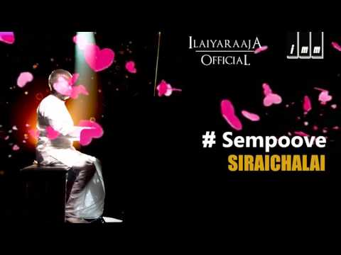Siraichalai | Sempoove | Ilaiyaraaja | Prabhu, Tabu | SPB, K.S Chithra