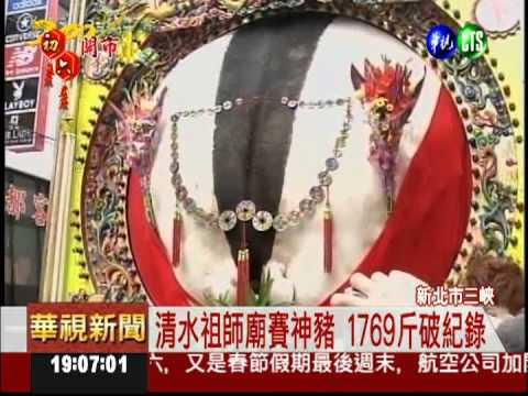 三峽祖師廟賽神豬 1769斤破紀錄
