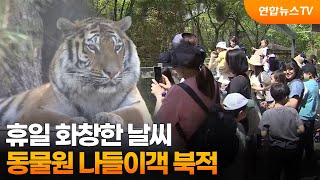 휴일 화창한 날씨…동물원 나들이객 북적  / 연합뉴스TV (YonhapnewsTV)