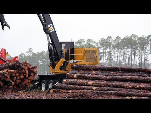 Timber Harvesting at CPTC