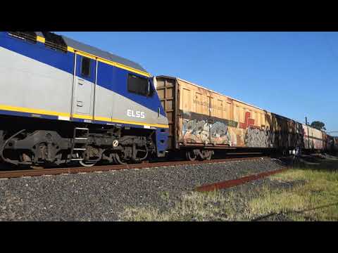 EL63 / EL53 / EL55 with SCT Logistics 2BM9 - 22/3/22