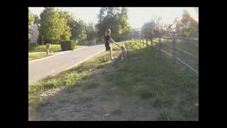 The Creationist - Kerli