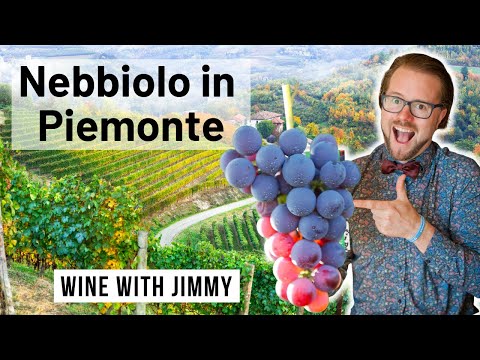 WSET Level 4 D3 Italian Wines - Mastering Nebbiolo wines from Piemonte