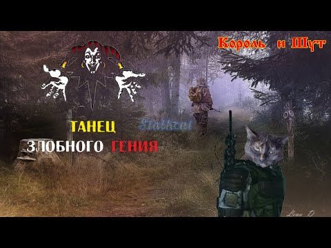 Танец злобного гения! / Stalker anomaly atmosphere☢️/ Король и шут. Stalkcat.