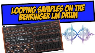 Ultimate Guide to Creating LM Drum Loops