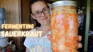 SAUERKRAUT: How to Ferment Sauerkraut | Hamakua Homestead
