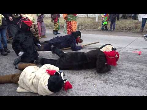 Ursul de la Blagesti 2018 - 2019 part 3