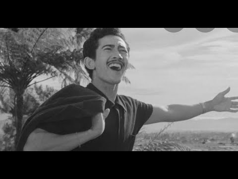 TAMASYA - Bambang Irawan  ( Sulihan suara Said Effendi ) Iringan Orkes Saiful Bahri