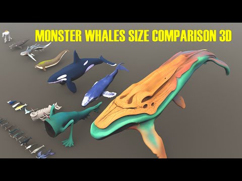 Monster Whales Size Comparison 3D | Aircraft Humpback Whale vs Space Whale – The Ultimate Showdown!