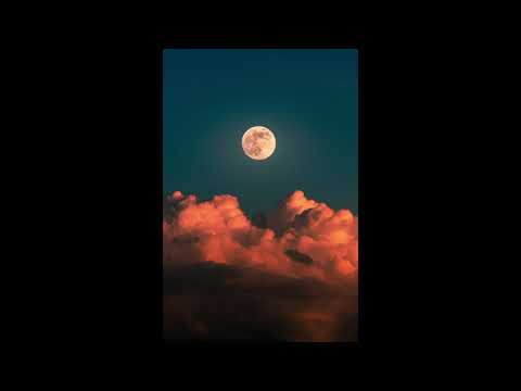 w00ds x Lokel - Wishing Well