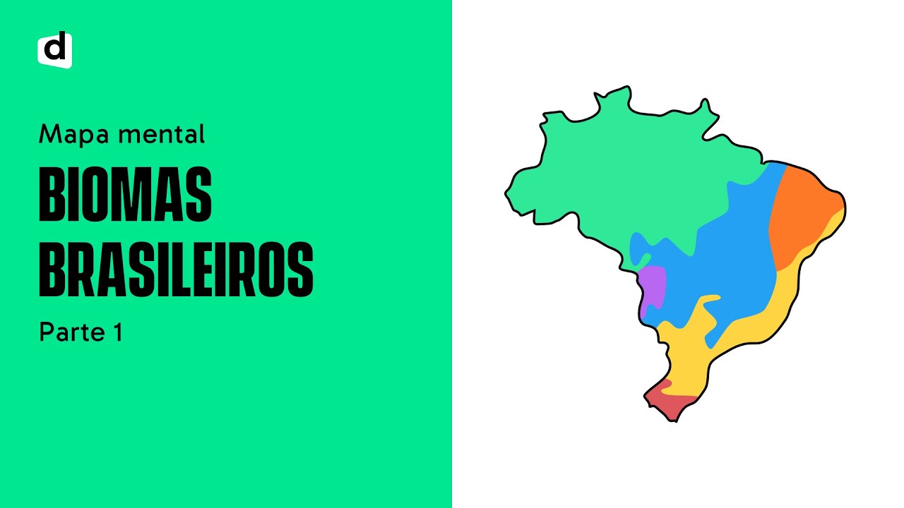 BIOMAS BRASILEIROS - Parte 1 | GEOGRAFIA | Mapa Mental | Quer Que Desenhe