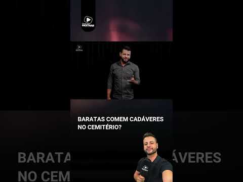 BARATAS COMEM CADÁVERES NO CEMITÉRIO?