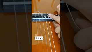 Download lagu Beautifully Tuned Guitar: CHANGING STRINGS With Treble Clef ART#shorts #strings #acousticguitar mp3 Download lagu Beautifully Tuned Guitar: CHANGING STRINGS With Treble Clef ART#shorts #strings #acousticguitar mp3