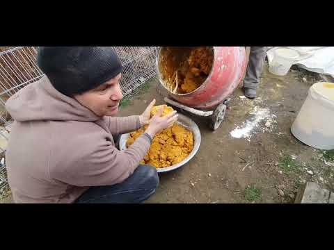 (22.02.2023) TURTELE PROTEICE