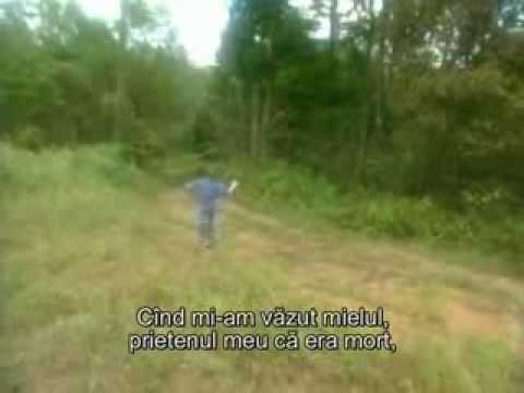 Înapoi din iad partea3