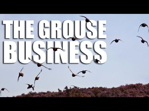 The Grouse Business The Grouse Business