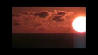 Badly Drawn Boy : This Electric (live, audio only)