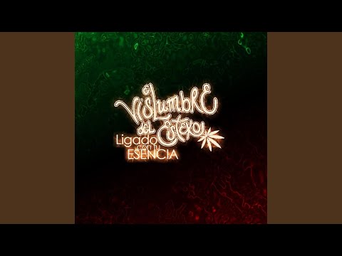 Ligado Con Tu Esencia