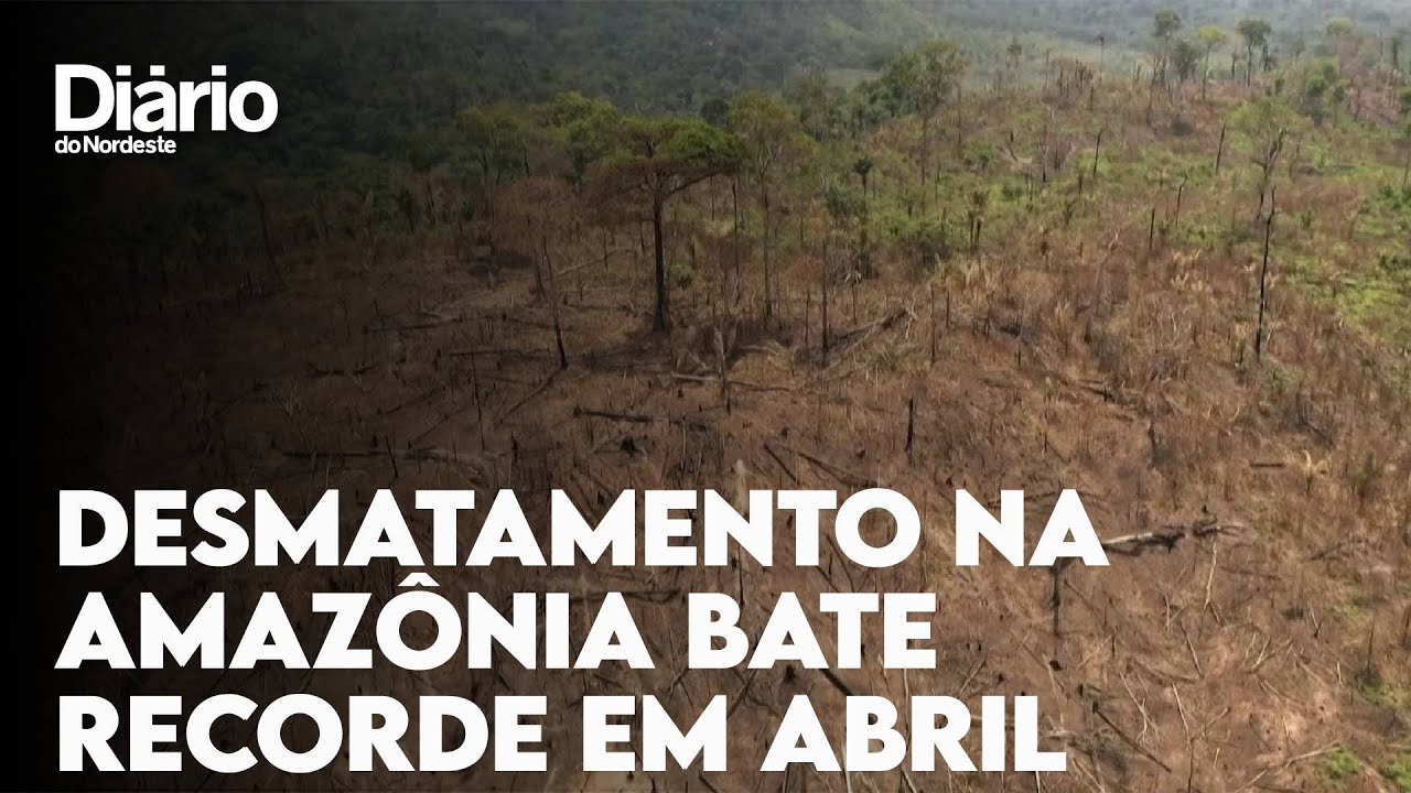 Imagem da notícia Desmatamento na Amazônia bate recorde em abril, mesmo em estação chuvosa