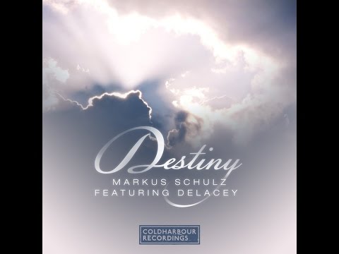 Markus Schulz Feat. Delacey - Destiny (Acapella)