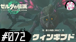 【ティアキン＃72】凡人が行く龍泪旅