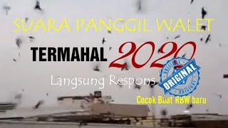 Download lagu SP  TERMAHAL  Tahun 2020, Full Respons 100 % mp3