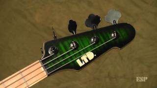 ESP Guitars: Marco Mendoza LTD MM-4FM Bass