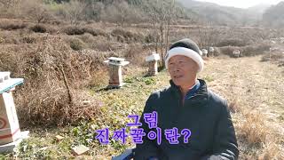 가짜꿀? 당신이 먹는 꿀은 진짜꿀이다!