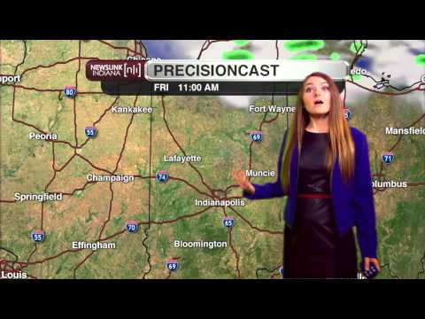 NewsLink Weather November 11, 2015 Ellyn Fritz