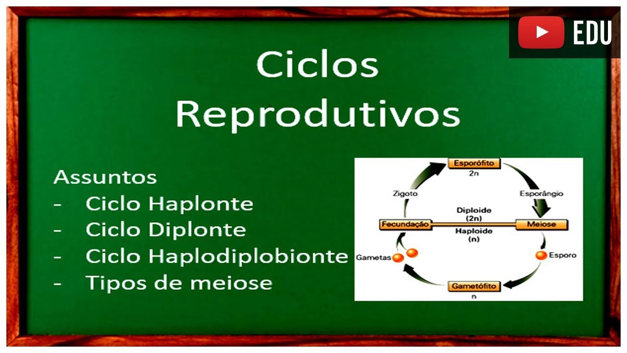 Ciclos Reprodutivos