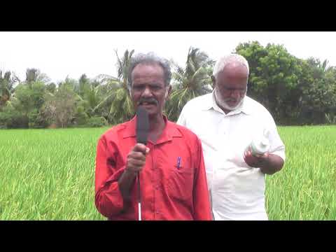 009 Green Caare Biocide For Agriculture And Organic Farming