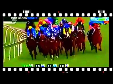 2015 Sansui Summer Cup ( Webstar Tube )