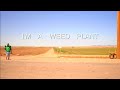 I'm A Weed Plant (Featuring Angelo Moore) @fishbone