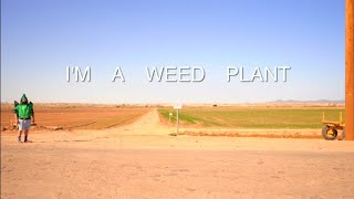 I&#39;m A Weed Plant (Featuring Angelo Moore) @fishbone