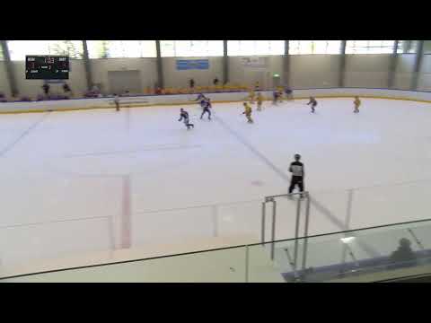 U17-Elit: ZSC Lions vs EHC Biel