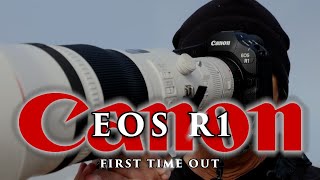 First time out with the Canon R1 - what do you think of the first shots?