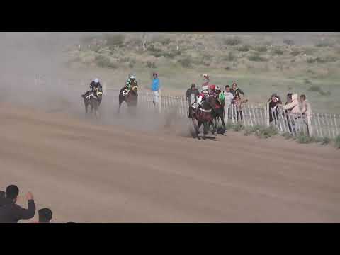 FLOKY  Club Hípico "Cabo Alarcón" - Picun Leufu - Neuquén - 17-12-23