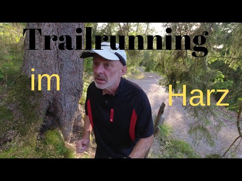 Laufen in der Bergstadt Lautenthal im Oberharz