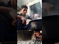 DIL MARU KAHE SE આવી મળી લવ Shorts Youtubeshorts Whatsappstatus
