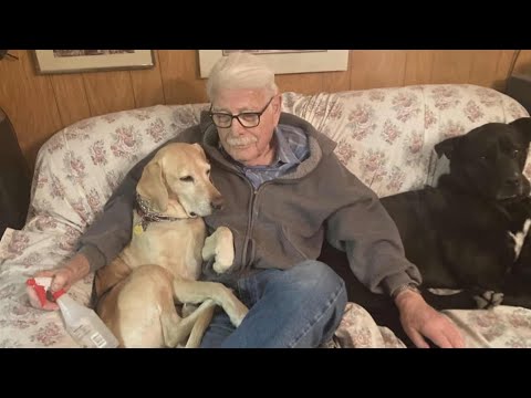Dad's smelly socks reunite 93-year-old with missing dog in incredible rescue - YouTube