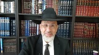 Un juif peut il avoir un sapin de Noël ? Léïlouy nichmat de Martine Sabrina bat Sarah zal